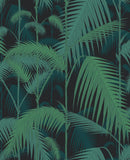 95/1003 - Palm Jungle