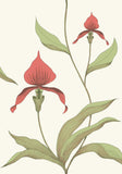 95/10054 - Orchid 2