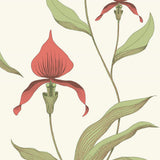 95/10054 - Orchid 2