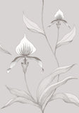95/10055 - Orchid 1