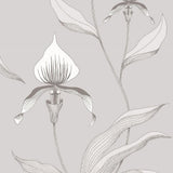 95/10055 - Orchid 1