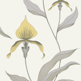95/10057 - Orchid 2