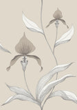 95/10058 - Orchid 1