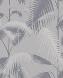 95/1007 - Palm Jungle 1