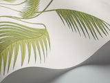 95/1009 - Palm Leaves