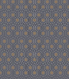95/3015 - Hicks' Hexagon