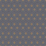 95/3015 - Hicks' Hexagon
