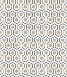 95/3016 - Hicks' Hexagon