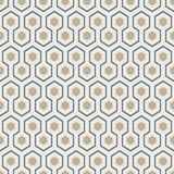 95/3016 - Hicks' Hexagon