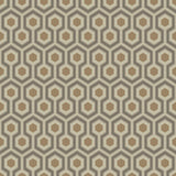 95/3017 - Hicks' Hexagon