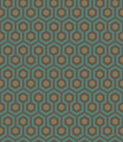 95/3018 - Hicks' Hexagon