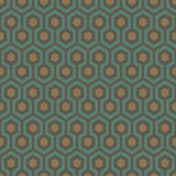 95/3018 - Hicks' Hexagon