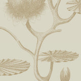 95/4019 - Lily 1