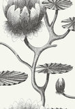 95/4020 - Lily 1