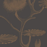 95/4021 - Lily 1