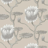 95/4025 - Summer Lily 1