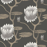 95/4026 - Summer Lily 1