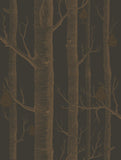 95/5028 - Woods & Pears