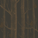 95/5028 - Woods & Pears
