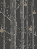 95/5031 - Woods & Pears