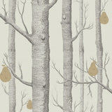 95/5032 - Woods & Pears