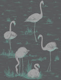 95/8048 - Flamingos