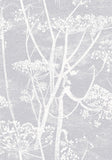 95/9049 - Cow Parsley