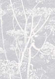 95/9049 - Cow Parsley
