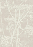 95/9051 - Cow Parsley 3