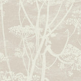 95/9051 - Cow Parsley 3