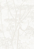 95/9052 - Cow Parsley 3