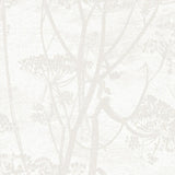95/9052 - Cow Parsley 3