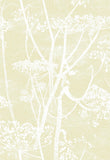 95/9053 - Cow Parsley 2