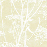 95/9053 - Cow Parsley 2
