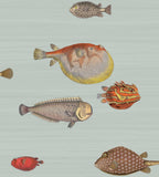 97/10030 - Acquario