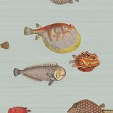 97/10030 - Acquario