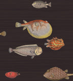 97/10048 - Acquario