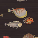 97/10048 - Acquario