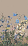 Bluebell Magic