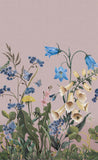 Bluebell Magic Pink