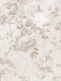 BLOSSOM II c