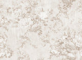 BLOSSOM II c