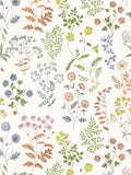 BOTANICA c