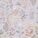 BOTANICA b