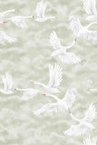 CLOUDS SWANS