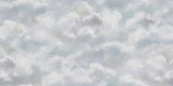 CLOUDS b