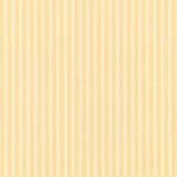 New Tiger Stripe - DCAVTP104