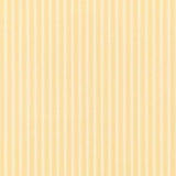 New Tiger Stripe - DCAVTP104