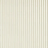 New Tiger Stripe - DCAVTP107