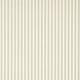 New Tiger Stripe - DCAVTP107